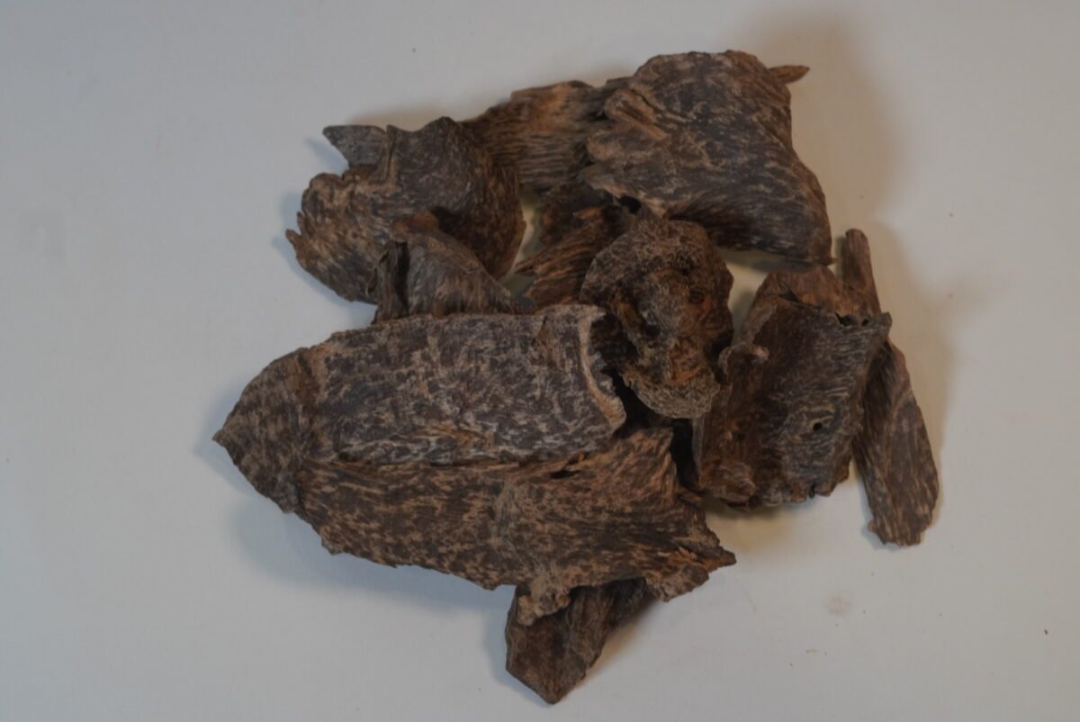 عود سيلانى آدمز