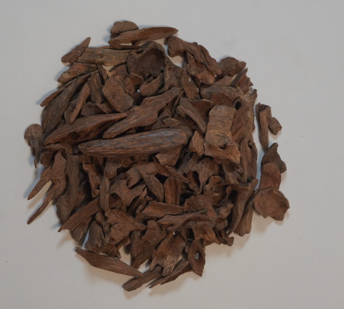 عود فلبينى