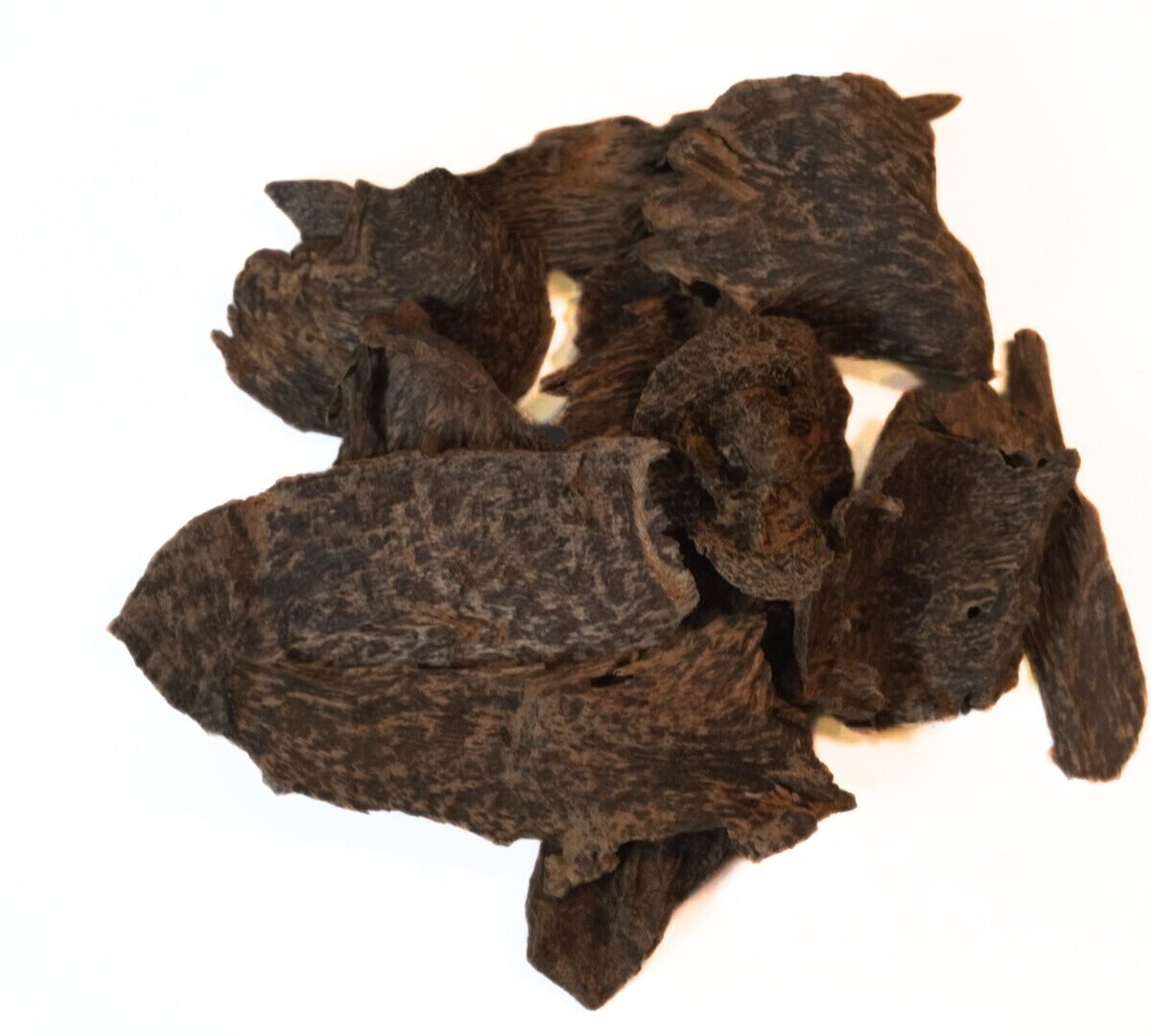 عود سيلانى آدمز