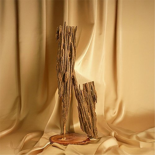 نوادر العود